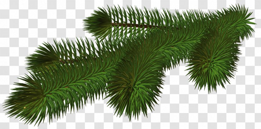 Branch Christmas Tree Clip Art - Pine Cone Transparent PNG