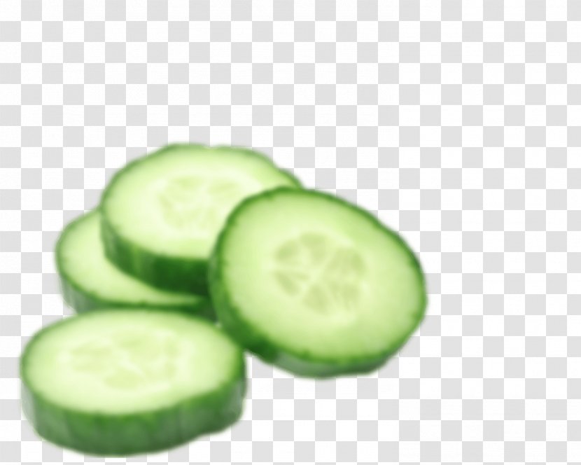 Cucumber Vegetable Fruit Zucchini Watermelon - Extract Transparent PNG