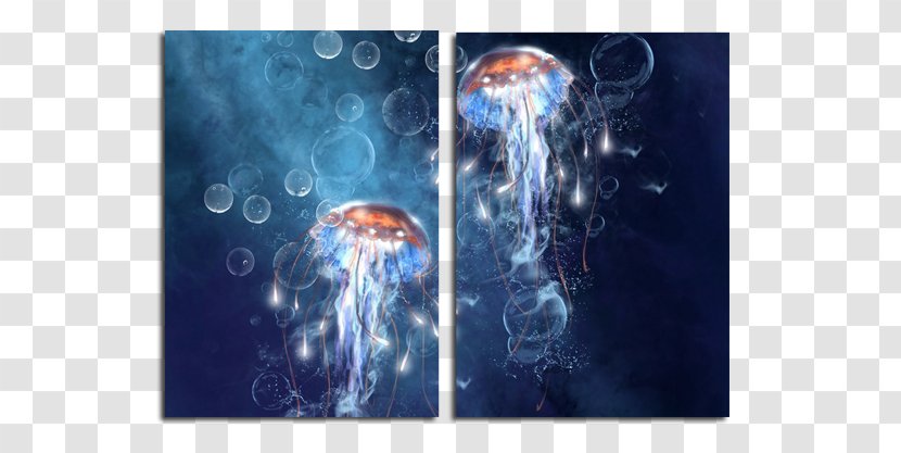 Jellyfish Desktop Wallpaper 1080p High-definition Television Video - Organism - Box Transparent PNG
