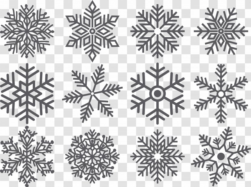Snowflake Shape Euclidean Vector - Visual Arts - Pattern Transparent PNG