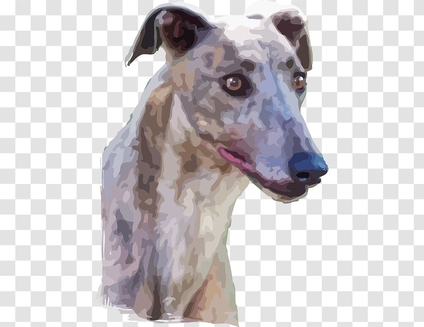 Lurcher Spanish Greyhound Whippet Polish - Dog Breed - Realistic Animal Transparent PNG