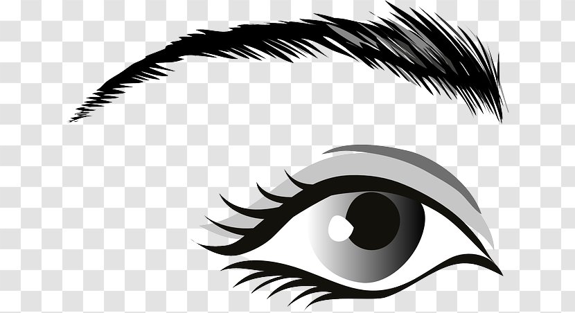 Clip Art Eyebrow Human Eye Openclipart - Cartoon - Thin Eyelashes Transparent PNG
