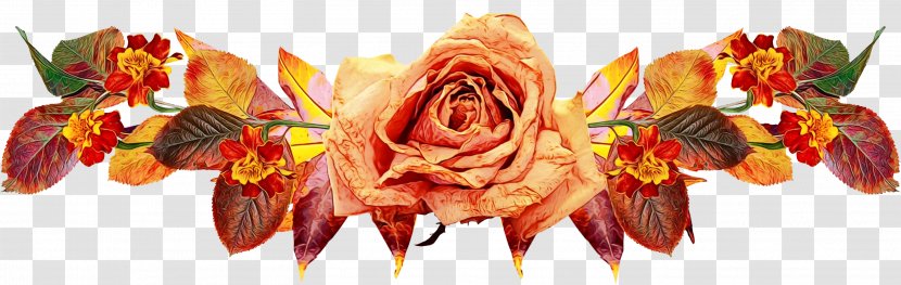 Watercolor Flower Background - Image Hosting Service - Rose Order Plant Transparent PNG