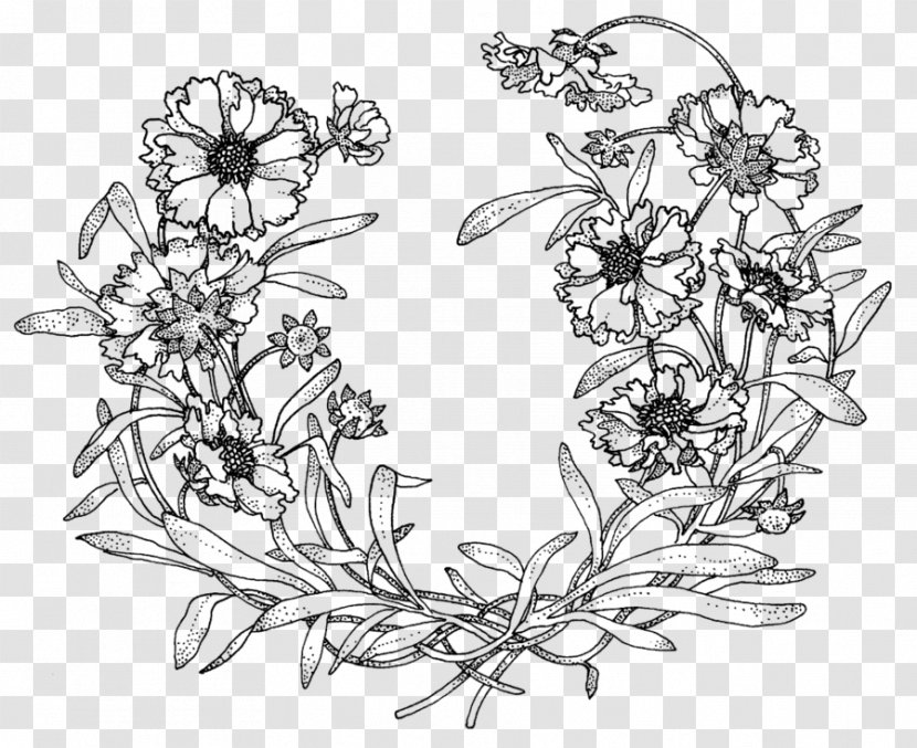 Drawing Floral Design Monochrome Sketch - Leaf - Pencil Transparent PNG