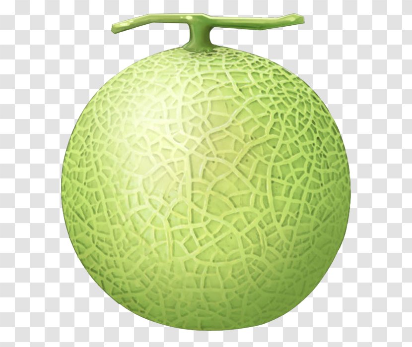 Honeydew Cantaloupe Galia Melon Transparent PNG