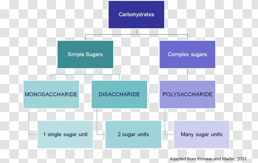 Carbohydrate Hexose Monosaccharide Sugar Pentose - Media Transparent PNG