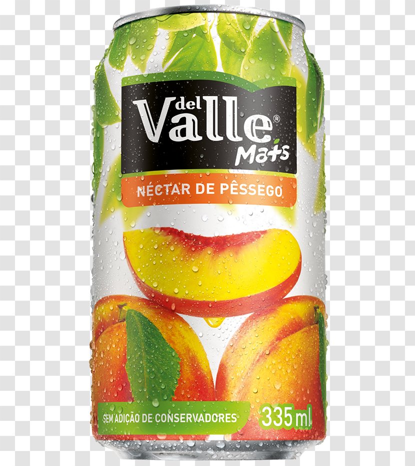 Juice Del Valle Kapo Suco Mais Laranja Caseira 300ml - Orange Transparent PNG