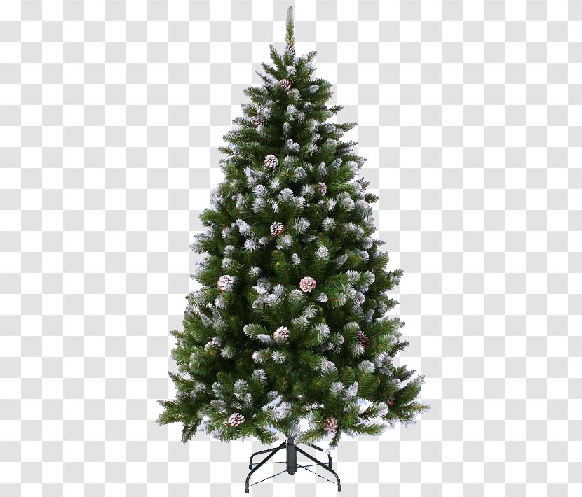 New Year Tree Fir Christmas - Shortstraw Pine - Colorado Spruce Transparent PNG