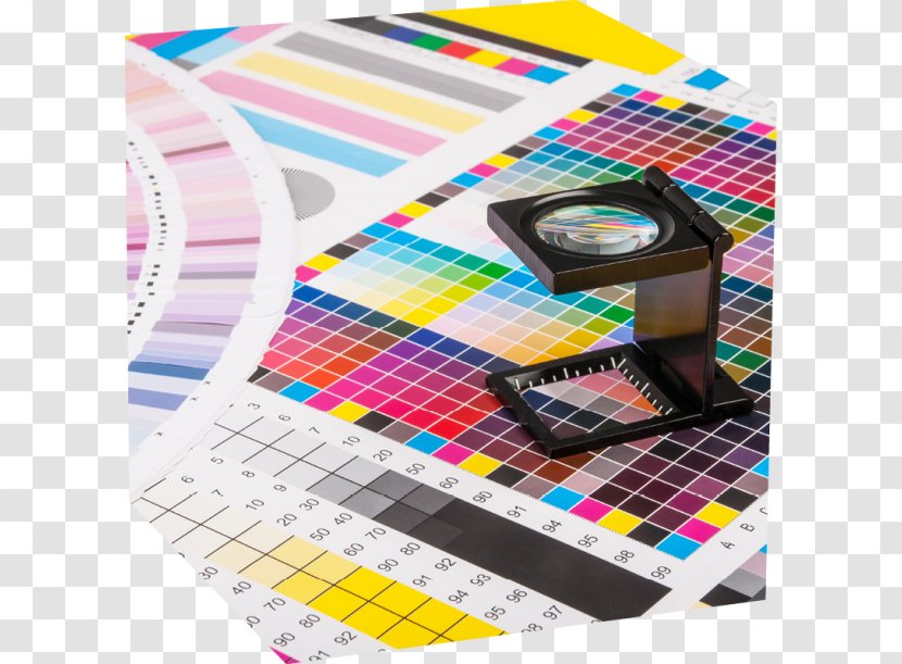 Color Management Printing Spot - Rectangle - Marketing Transparent PNG