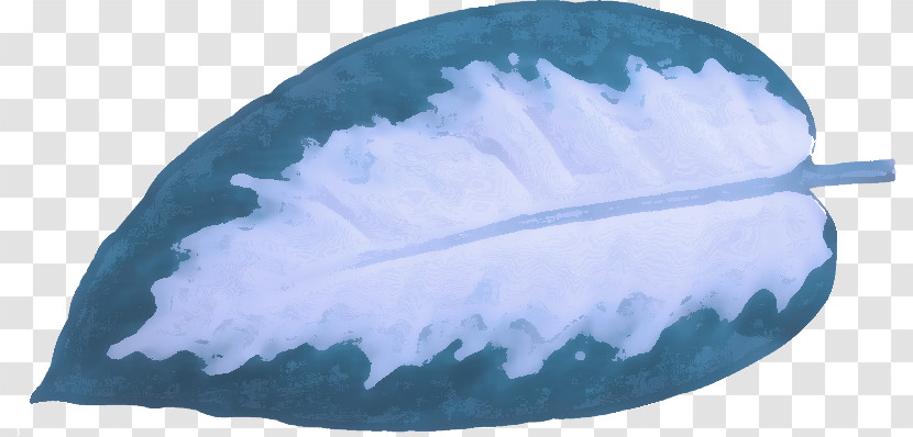 Feather Transparent PNG