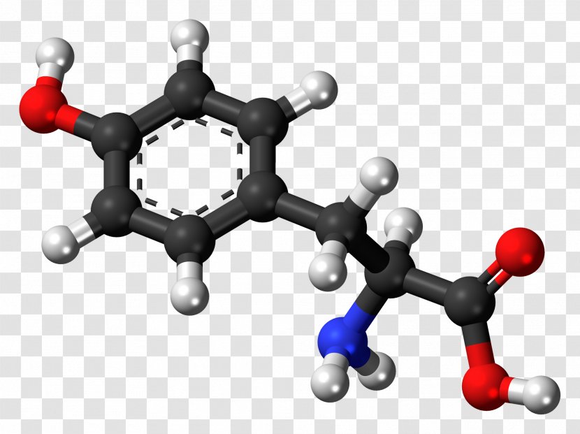 Tyrosine Levodopa Dopamine Amino Acid Molecule - Essential - Neutral Transparent PNG