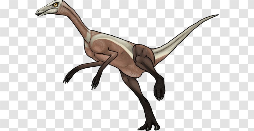 Grande Prairie Velociraptor Philip J. Currie Dinosaur Museum Wapiti Formation - Fauna Transparent PNG