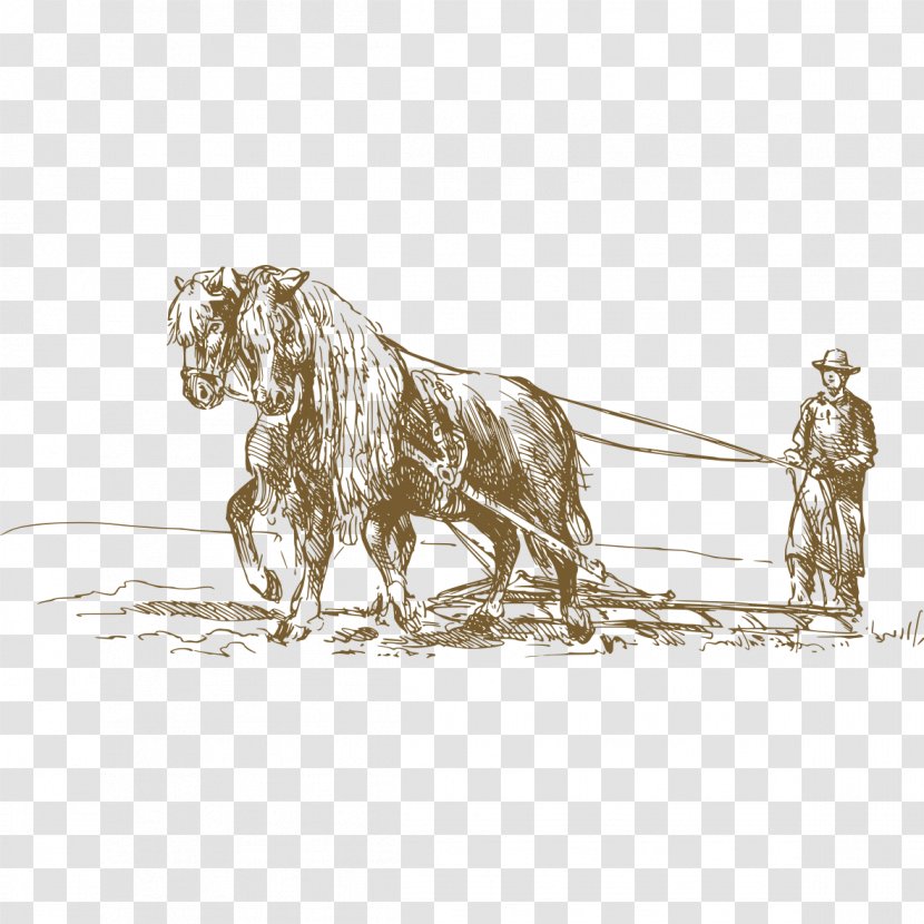 Cattle Drawing Agriculture - Big Cats - Horse Plowing Transparent PNG