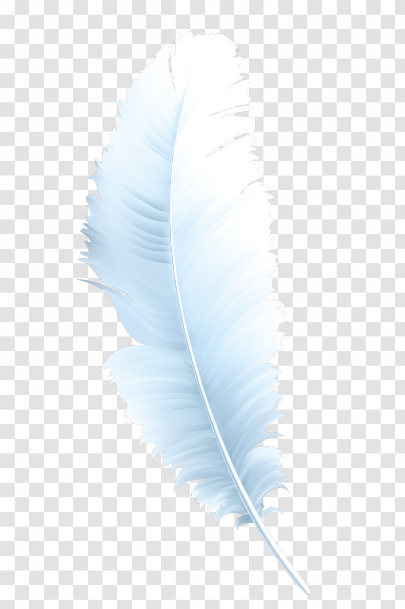 Feather Microsoft Azure - Creative Writing Feathers Transparent PNG