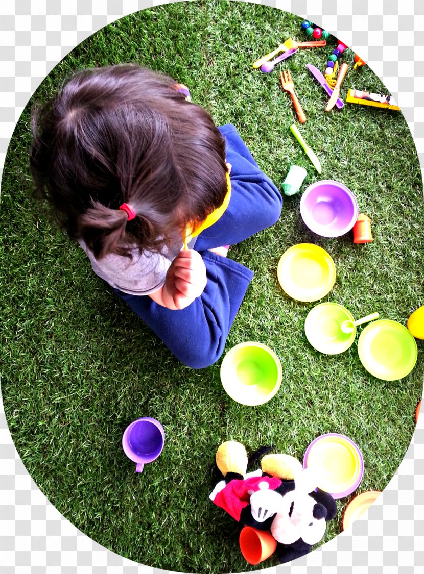 Lawn Easter Egg Toddler Ball Transparent PNG