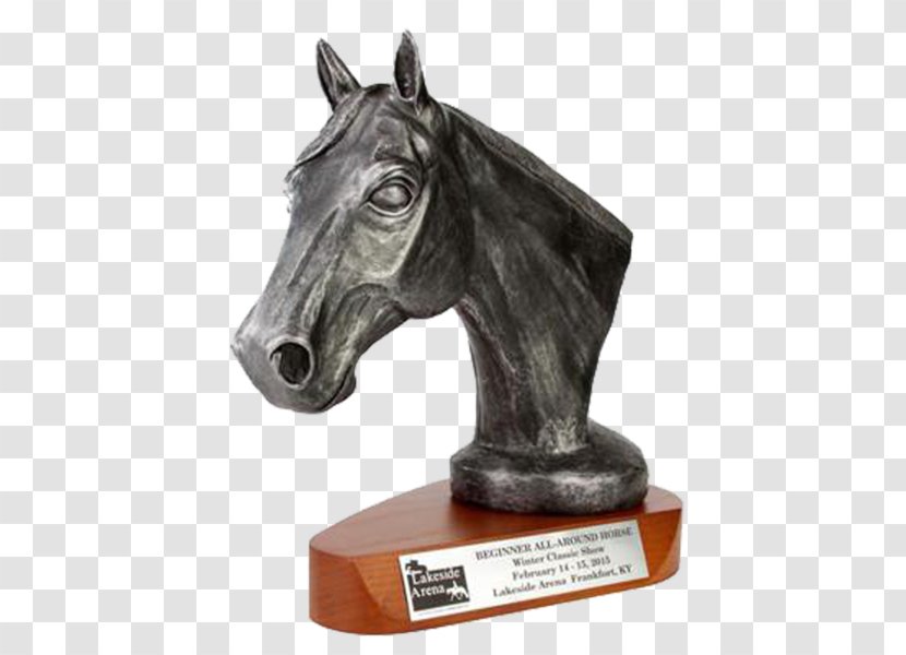 Trophy Arabian Horse Mustang Stallion Mane - Tack - World Series Transparent PNG