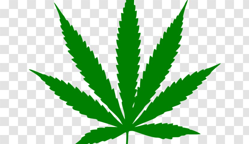Cannabis Ruderalis Sativa Leaf Hemp Transparent PNG