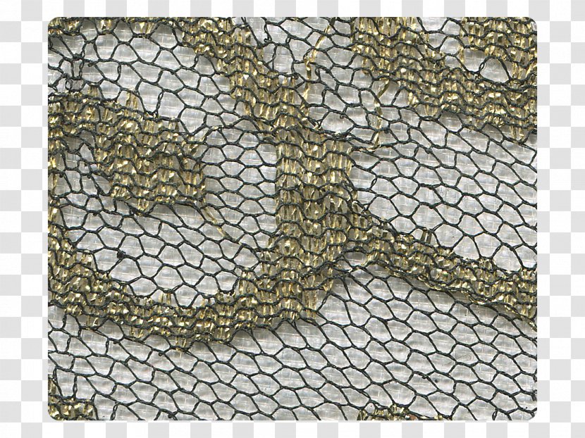 Reptile Animal - Lace Material Transparent PNG