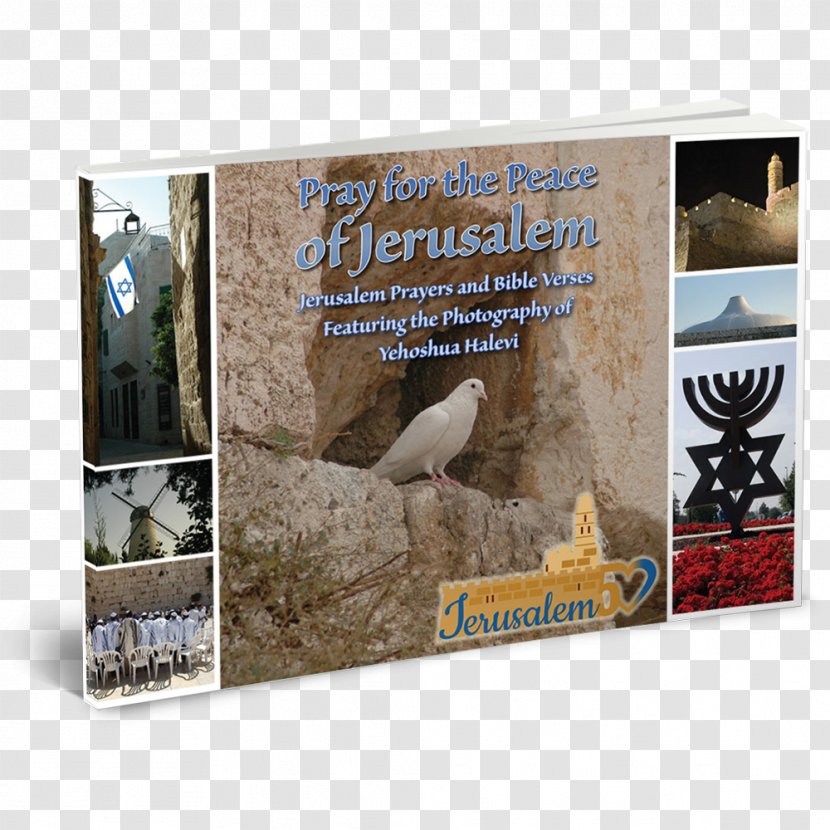 Land Of Israel Book Jerusalem Hardcover Hebrew Language - Bible Pray Transparent PNG