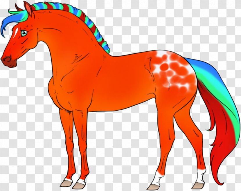 Mustang Foal Pony Stallion Colt - Mammal - Tequila Sundown Transparent PNG