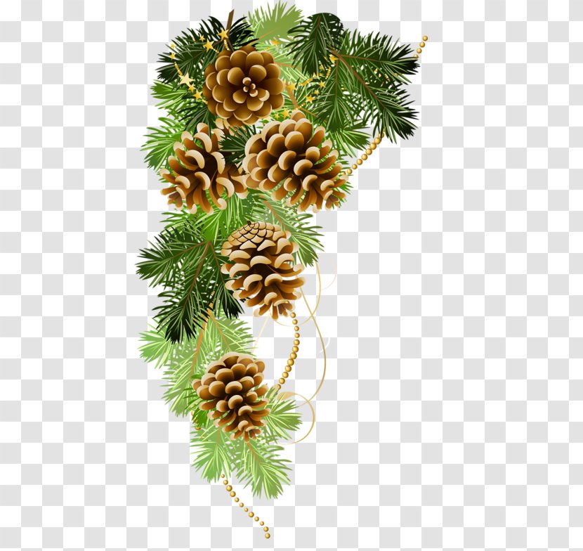 Christmas Ornament Clip Art Day Decoration Fir - Twig - Pine Boughs Transparent PNG
