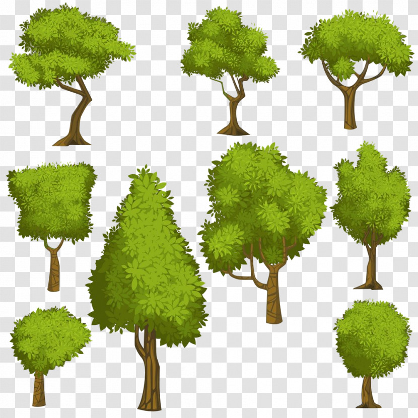 Arbor Day Transparent PNG