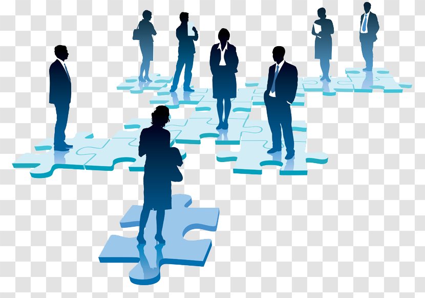 Human Resource Businessperson Management - Director - Business Transparent PNG