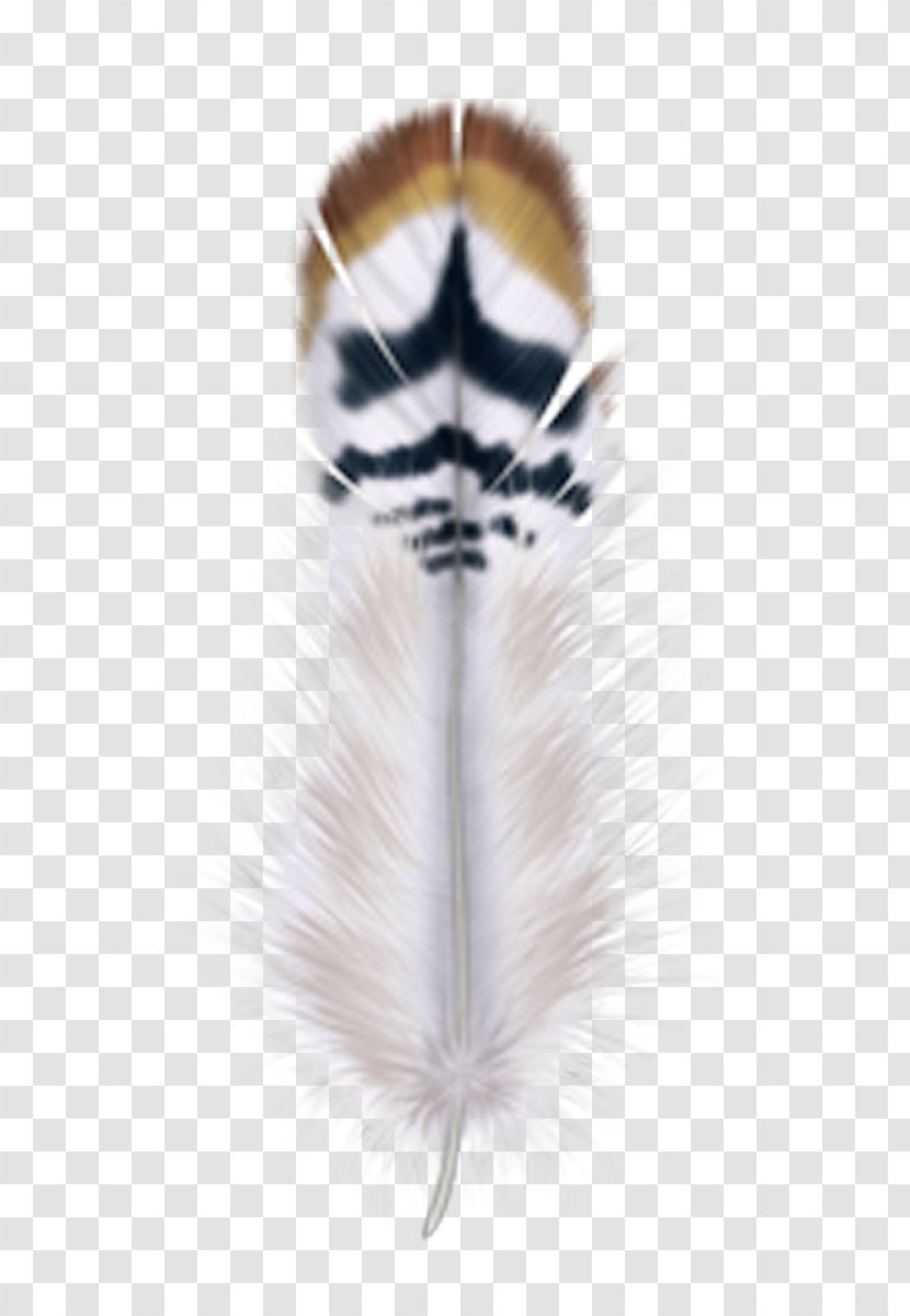 Bird Feather Drawing Clip Art - Fur Transparent PNG