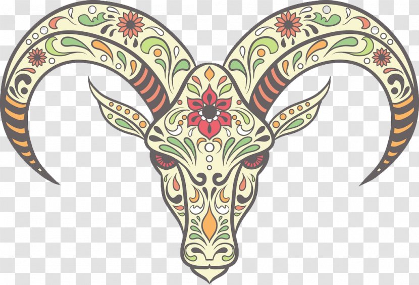 Calavera Skull Decal Coloring Book Sticker - Royaltyfree - Creative Hand-drawn Deer Transparent PNG