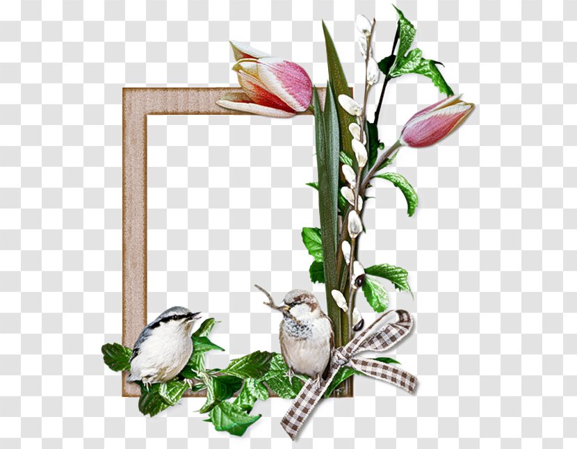 Background Flowers Frame - Plant - Arum Family Picture Transparent PNG