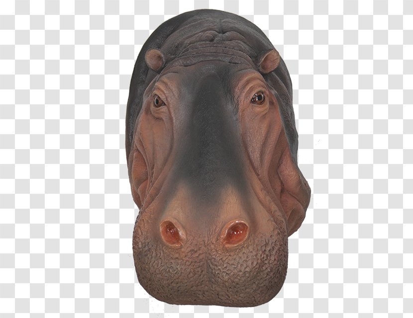Pig's Ear Face Nose Snout Head - Animal - Hippo Transparent PNG