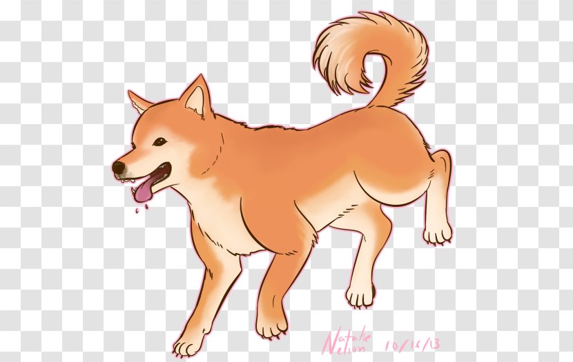 Shiba Inu Finnish Spitz Dog Breed Doge Snout - Nose - Drawing Transparent PNG
