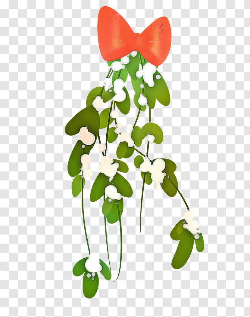 Floral Design Transparent PNG