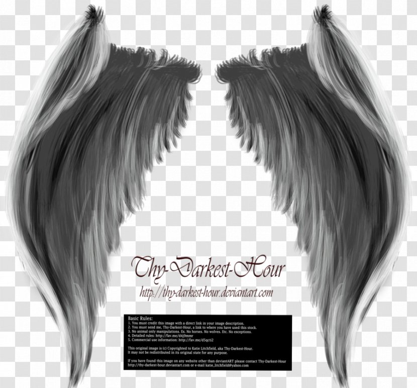 Photography Art - Poetry - Wings Hd Transparent PNG