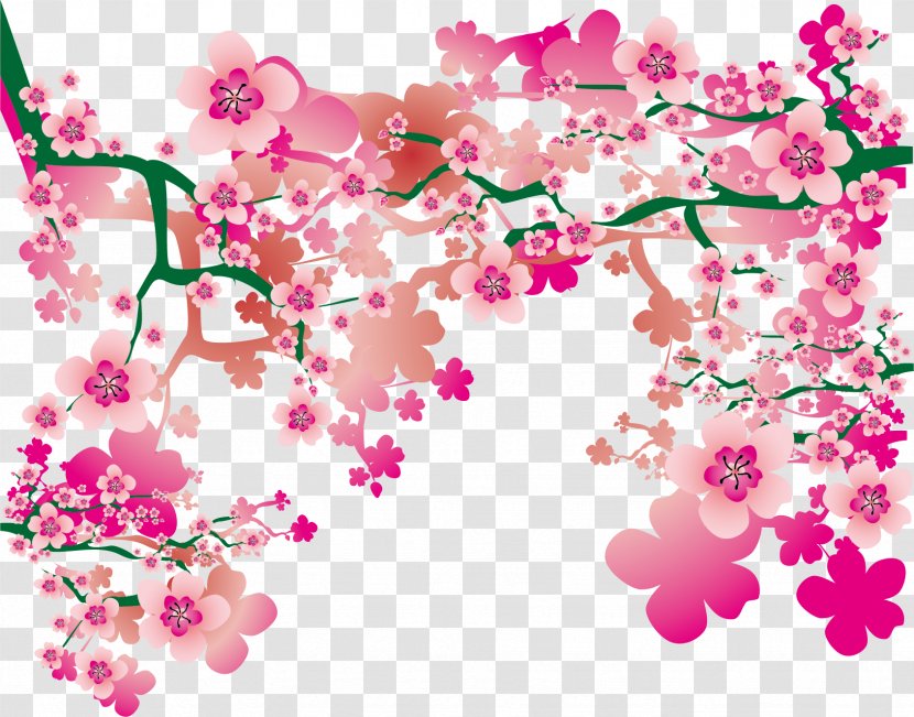 Cherry Blossom Drawing - Floral Design - Hand Painted Pattern Transparent PNG