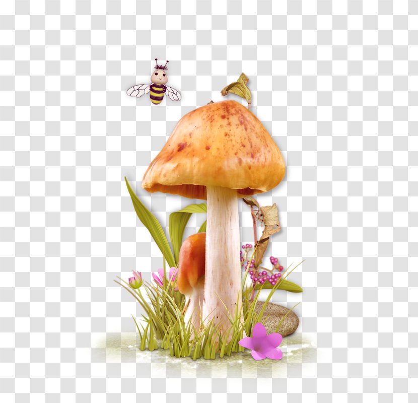 Mushrooms And Fungi Fungus Clip Art & - Centerblog - Mushroom Transparent PNG