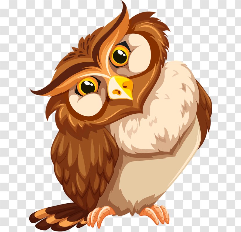 Owl Bird Royalty-free Illustration - Of Prey - Hand-painted Transparent PNG