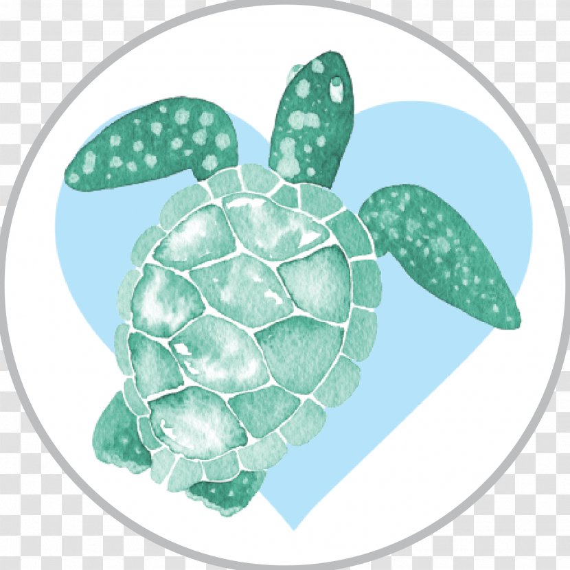 Sea Turtle Background - Pineapple - Plant Reptile Transparent PNG