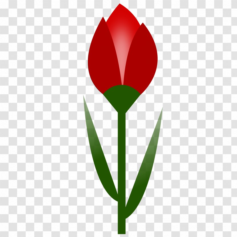 Flower Tulip Red Clip Art - Public Domain Transparent PNG