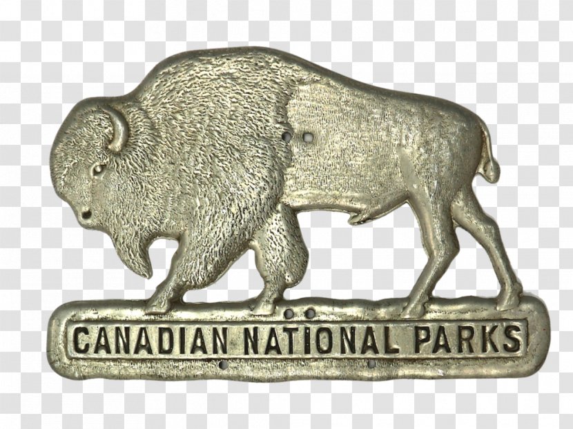 National Park Cattle Buffalo Pass Crowfoot Media Inc. Transparent PNG
