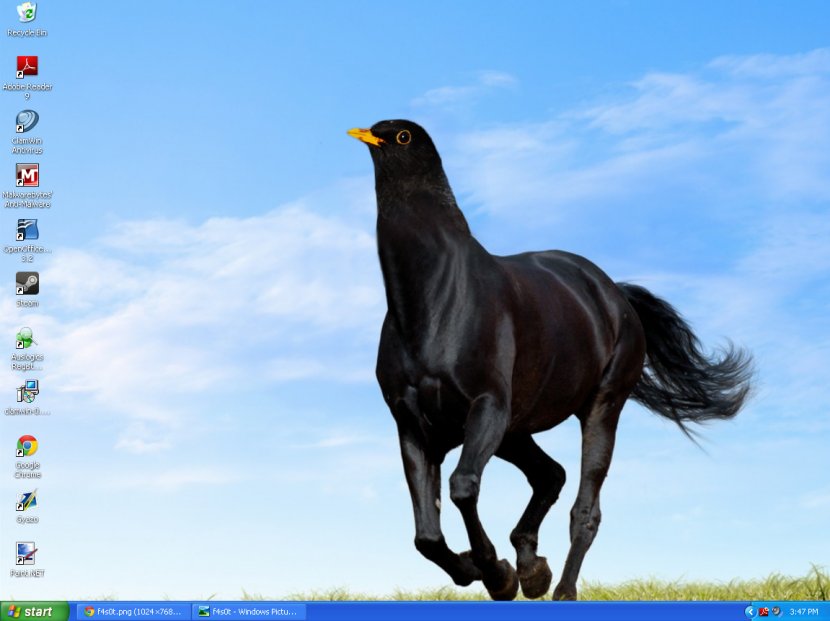 Arabian Horse Friesian Pony Stallion Black - Bay Transparent PNG