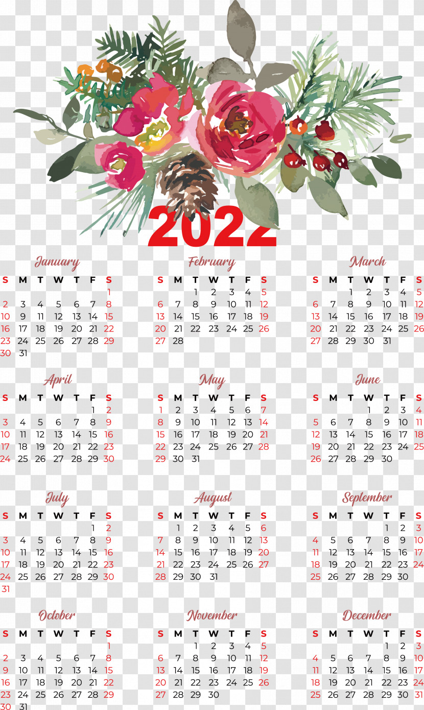 Flower Calendar Blog Meter Plant Transparent PNG