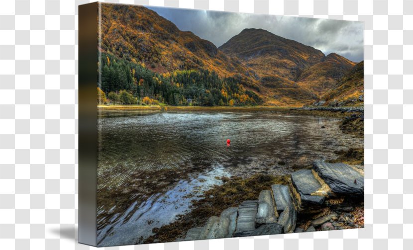 Lake District Loch Wilderness Resort Inlet Tarn - River - Park Transparent PNG