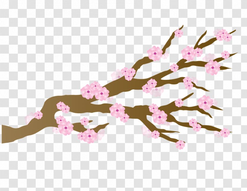 Japan National Cherry Blossom Festival - Pink Transparent PNG