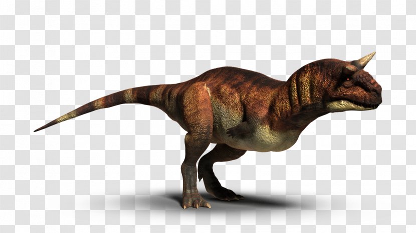 Carnotaurus Dinosaur Reptile Tyrannosaurus Rex Photography - Extinction Transparent PNG