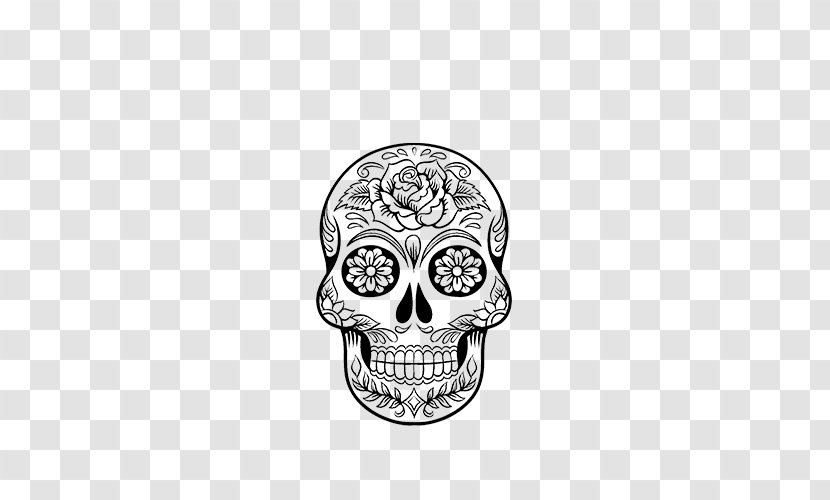 Calavera Drawing Coloring Book Skull Day Of The Dead - Work Art Transparent PNG