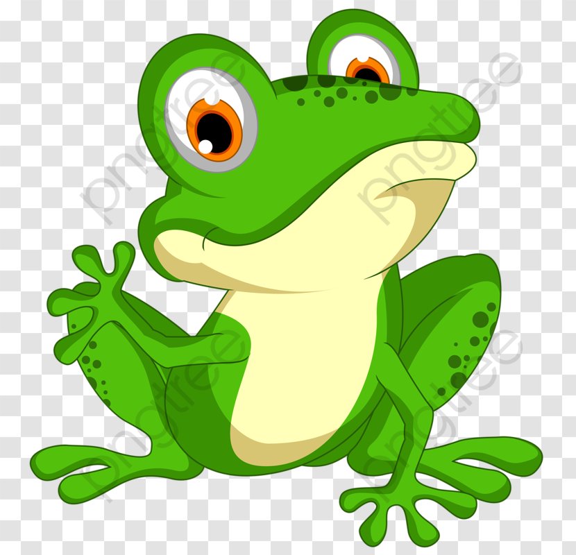 Frog Cartoon - True - Bufo Bullfrog Transparent PNG