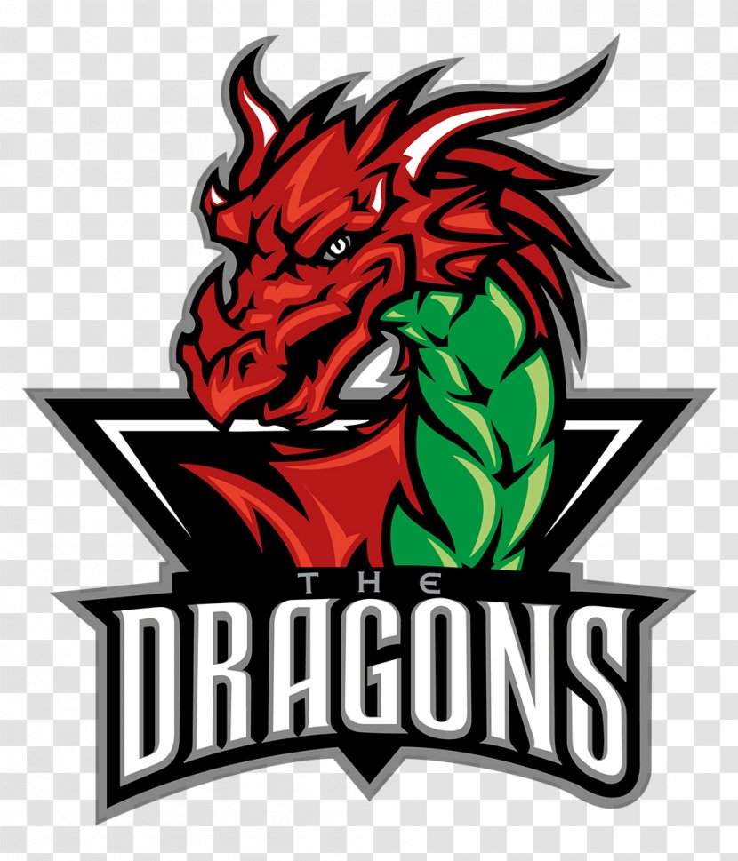 Deeside Dragons Telford Tigers Flintshire Freeze National Ice Hockey League - Solway Sharks Transparent PNG