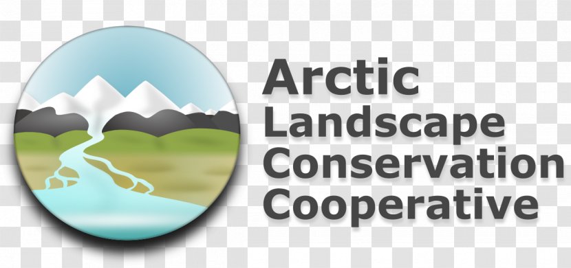 Logo ALCC American Language Arctic Brand Font - Monkeys Transparent PNG