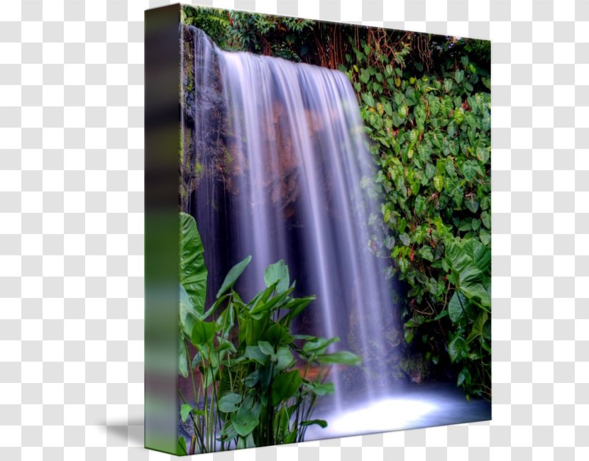 Waterfall Water Resources Nature Reserve Vegetation Watercourse - Natural Resource - Park Transparent PNG